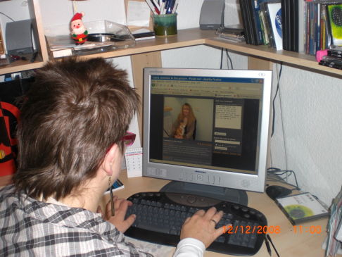 Picture of a cat / kitten / feline