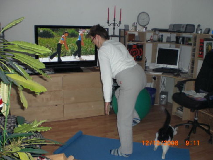 Picture of a cat / kitten / feline