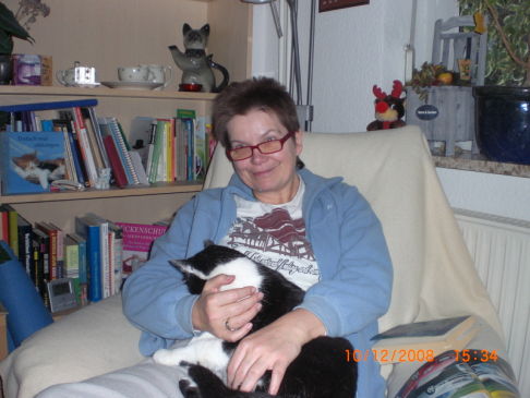 Picture of a cat / kitten / feline