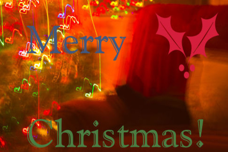 Picture of a cat / kitten / feline