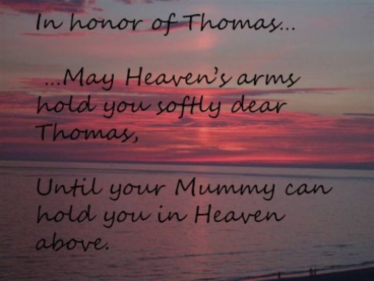 Picture of a cat / kitten / feline