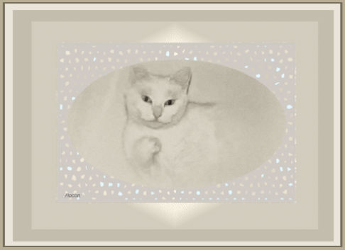 Picture of a cat / kitten / feline