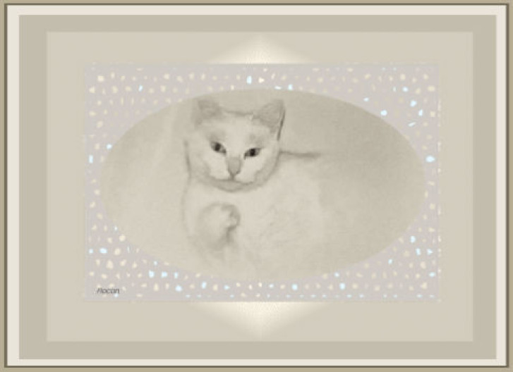 Picture of a cat / kitten / feline