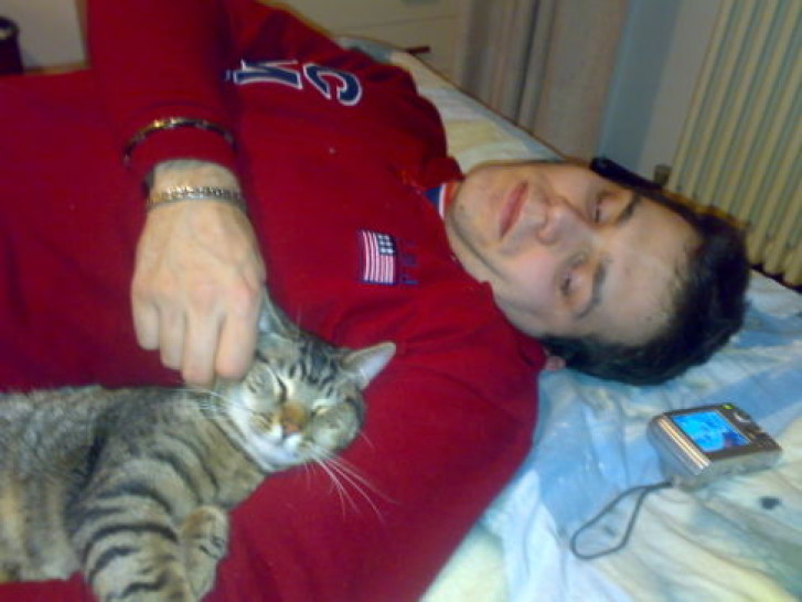 Picture of a cat / kitten / feline