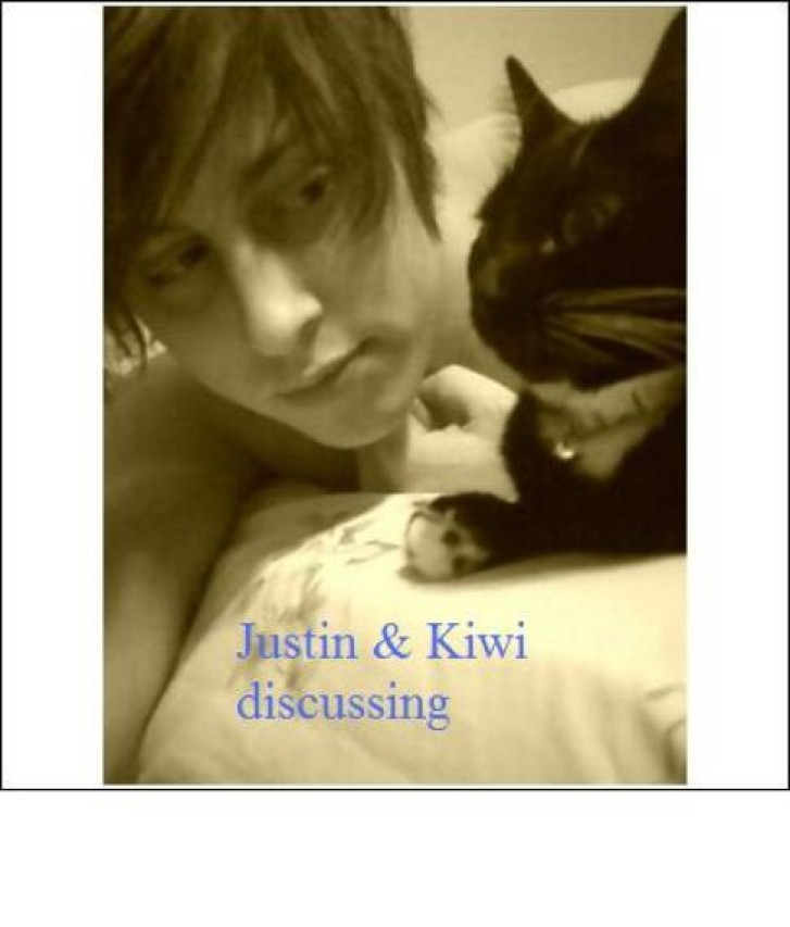 Picture of a cat / kitten / feline