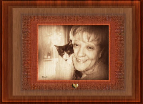 Picture of a cat / kitten / feline