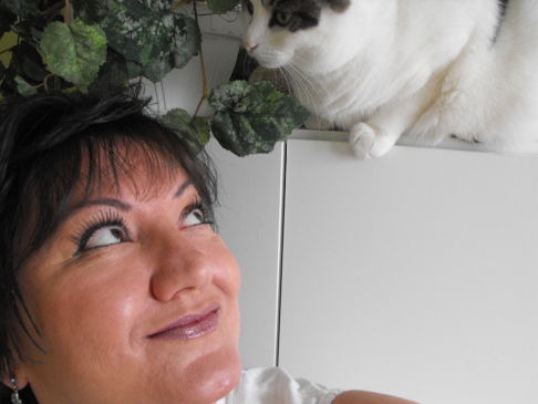 Picture of a cat / kitten / feline