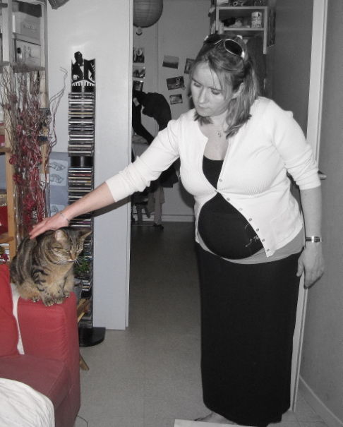 Picture of a cat / kitten / feline