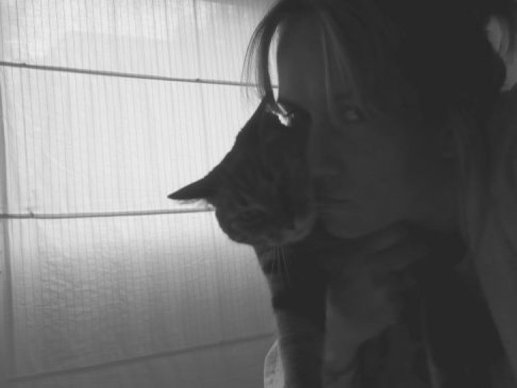 Picture of a cat / kitten / feline