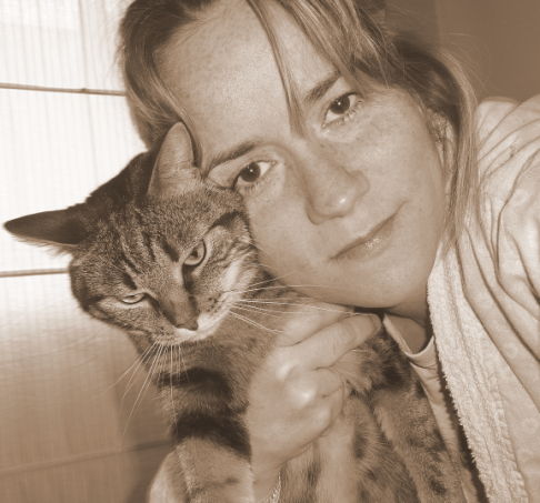 Picture of a cat / kitten / feline