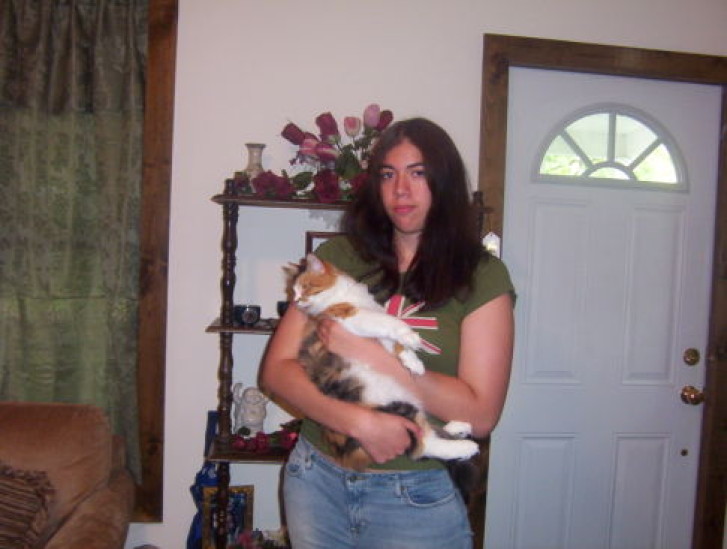 Picture of a cat / kitten / feline