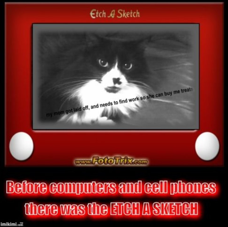 Picture of a cat / kitten / feline