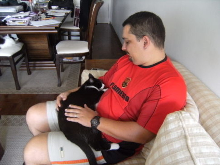 Picture of a cat / kitten / feline