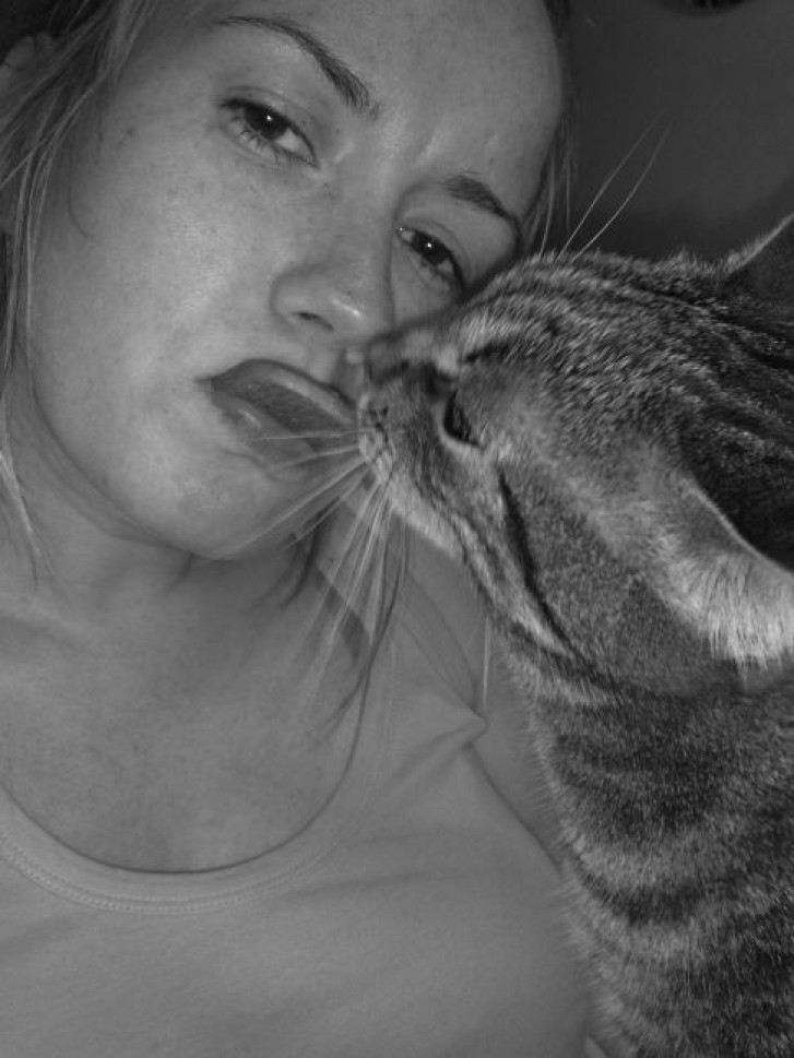 Picture of a cat / kitten / feline