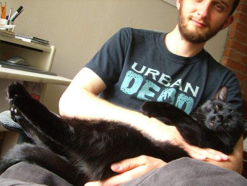 Picture of a cat / kitten / feline