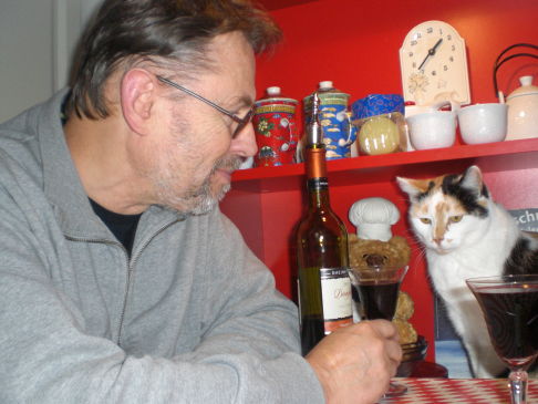 Picture of a cat / kitten / feline