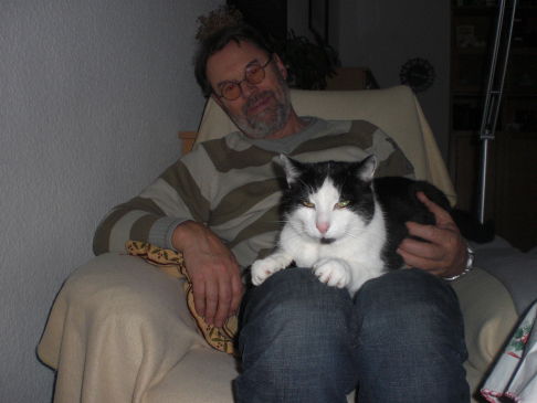 Picture of a cat / kitten / feline