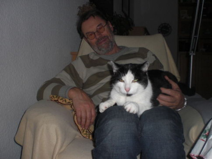 Picture of a cat / kitten / feline