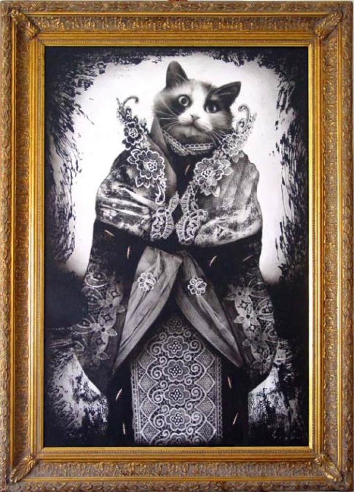 Picture of a cat / kitten / feline