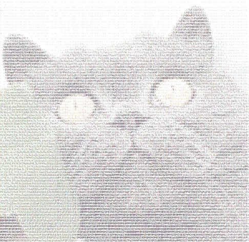 Picture of a cat / kitten / feline