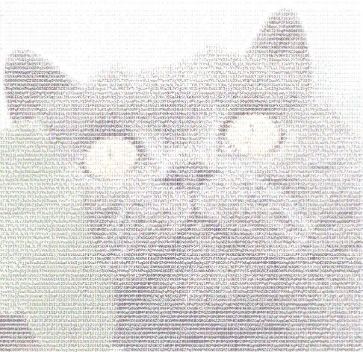 Picture of a cat / kitten / feline