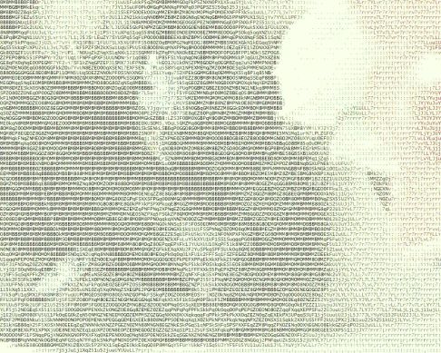 Picture of a cat / kitten / feline