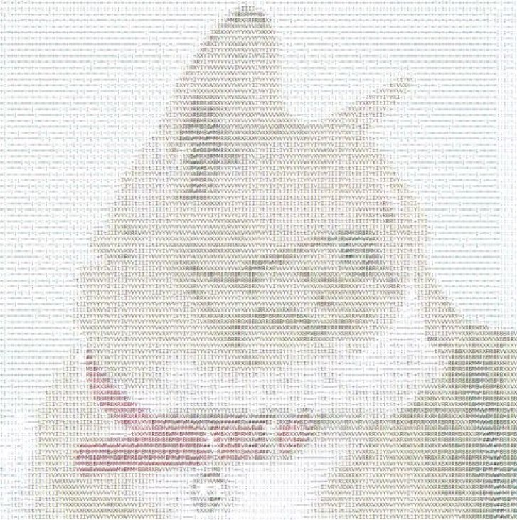 Picture of a cat / kitten / feline