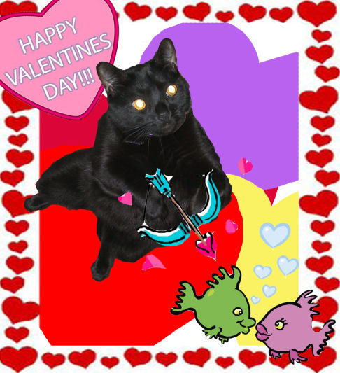 Picture of a cat / kitten / feline