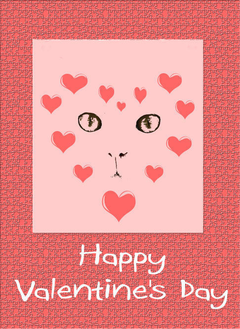 Picture of a cat / kitten / feline