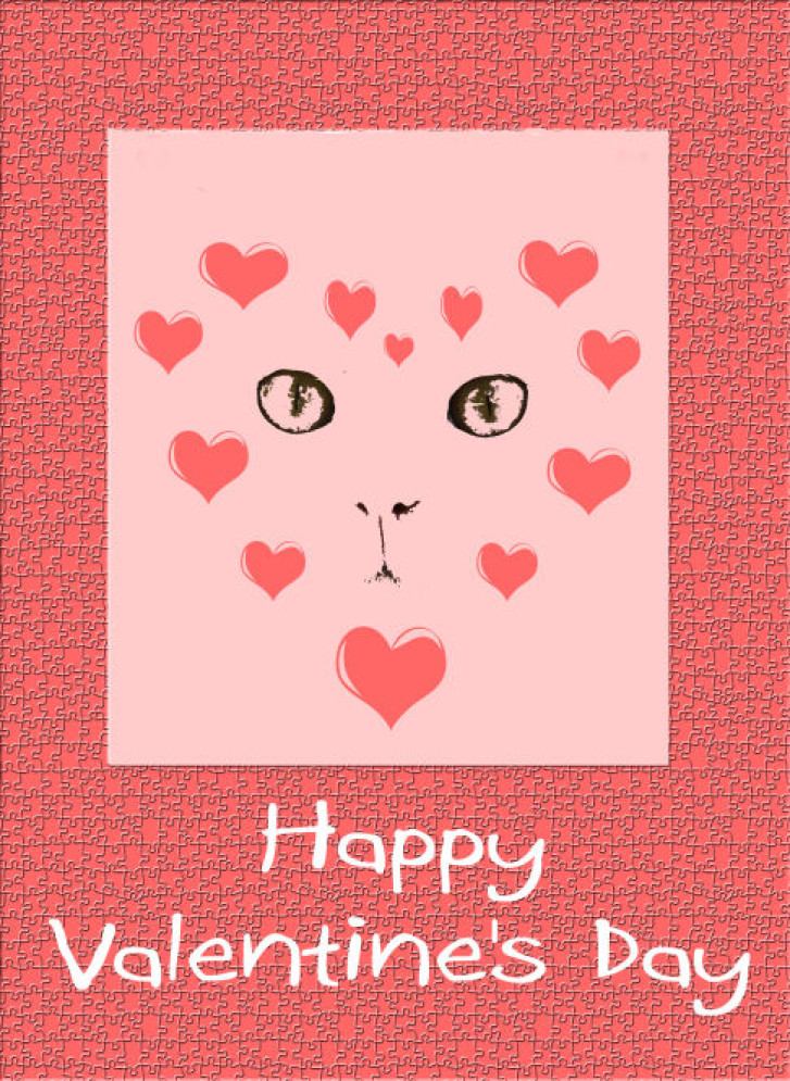 Picture of a cat / kitten / feline