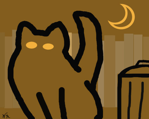 Picture of a cat / kitten / feline