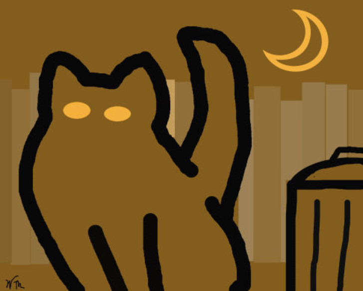 Picture of a cat / kitten / feline