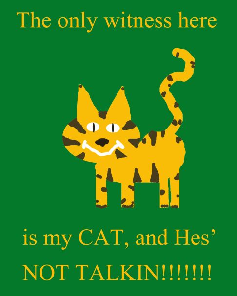 Picture of a cat / kitten / feline