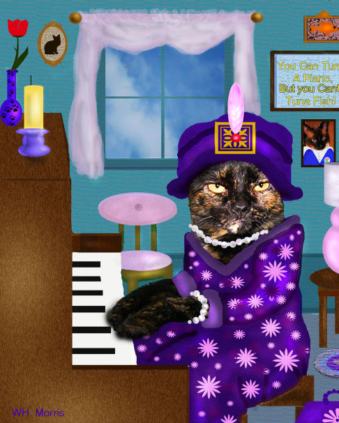 Picture of a cat / kitten / feline