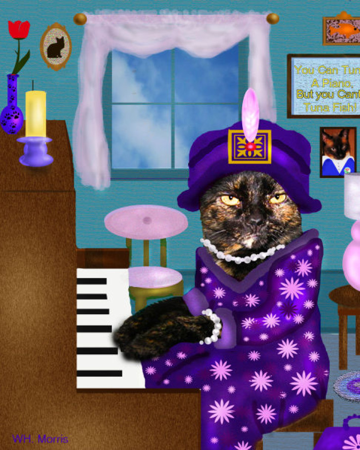 Picture of a cat / kitten / feline