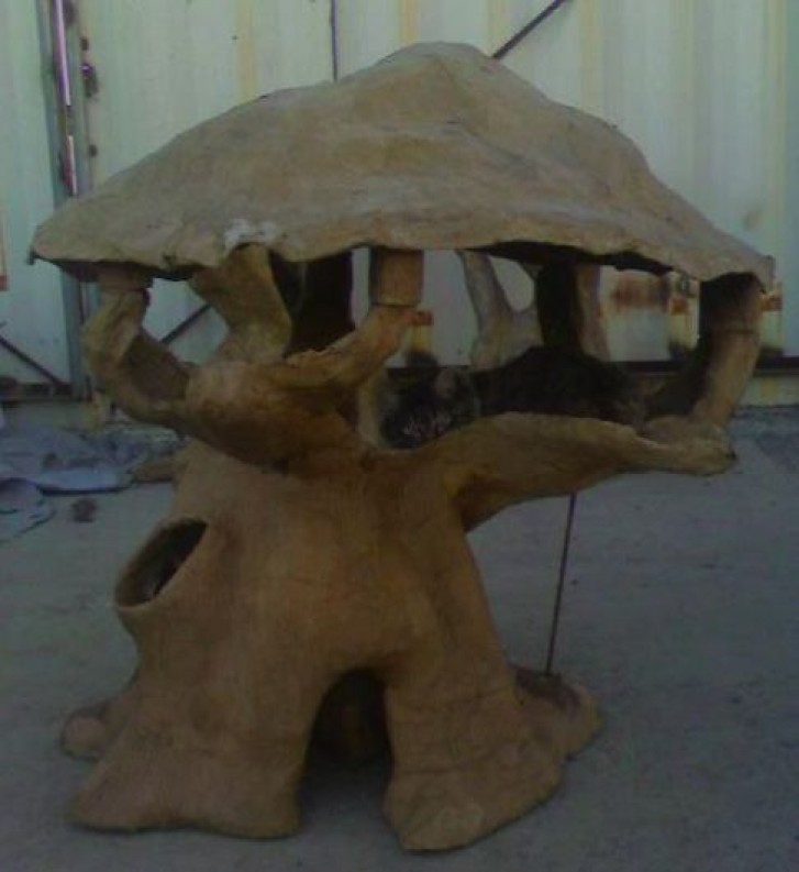 Picture of a cat / kitten / feline