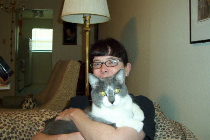 Picture of a cat / kitten / feline