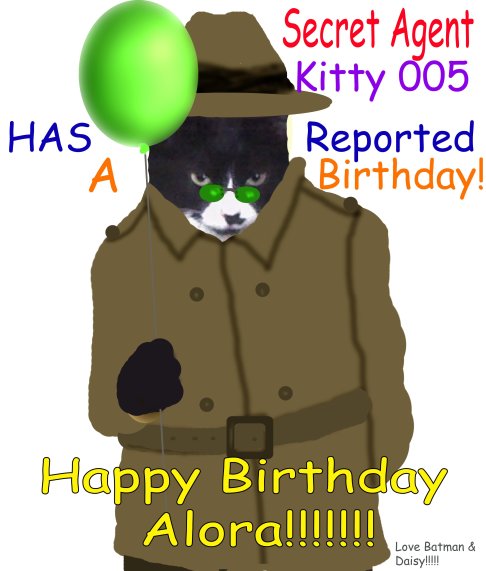 Picture of a cat / kitten / feline