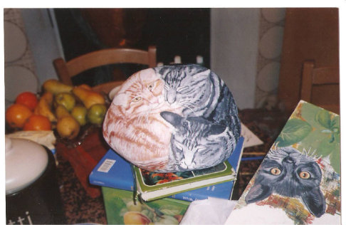 Picture of a cat / kitten / feline