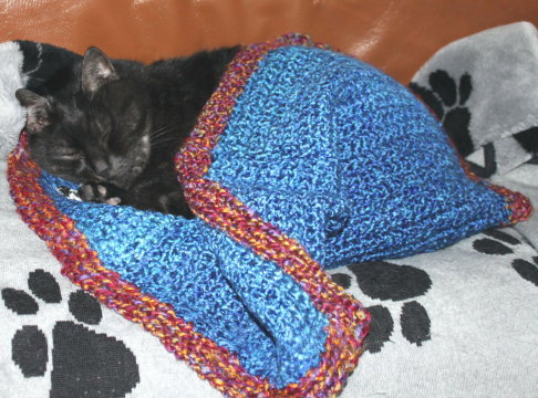 Picture of a cat / kitten / feline