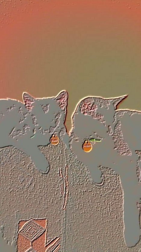 Picture of a cat / kitten / feline