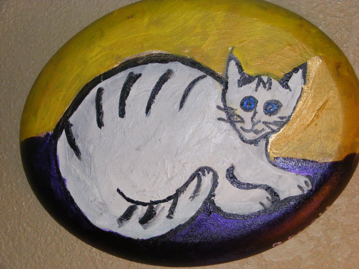 Picture of a cat / kitten / feline