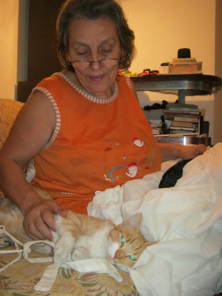 Picture of a cat / kitten / feline