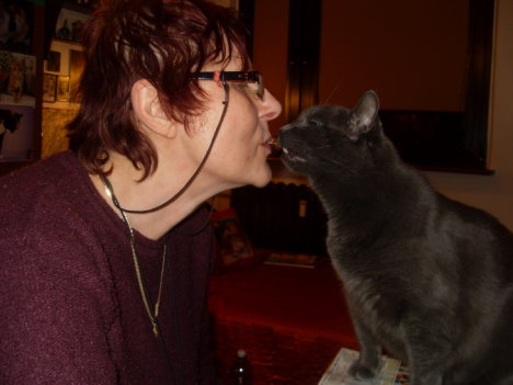 Picture of a cat / kitten / feline