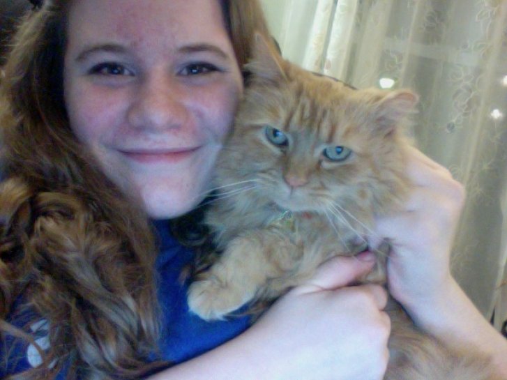 Picture of a cat / kitten / feline