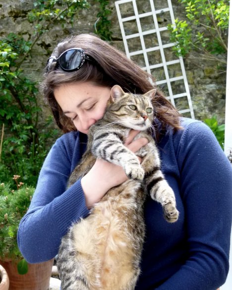 Picture of a cat / kitten / feline