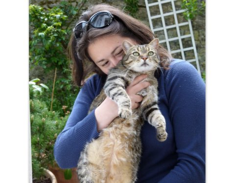 Picture of a cat / kitten / feline