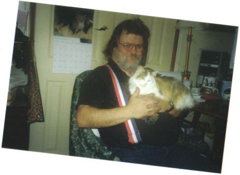 Picture of a cat / kitten / feline