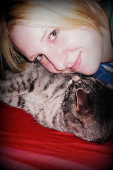 Picture of a cat / kitten / feline