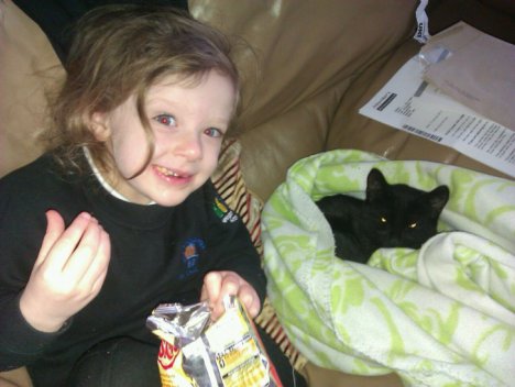 Picture of a cat / kitten / feline